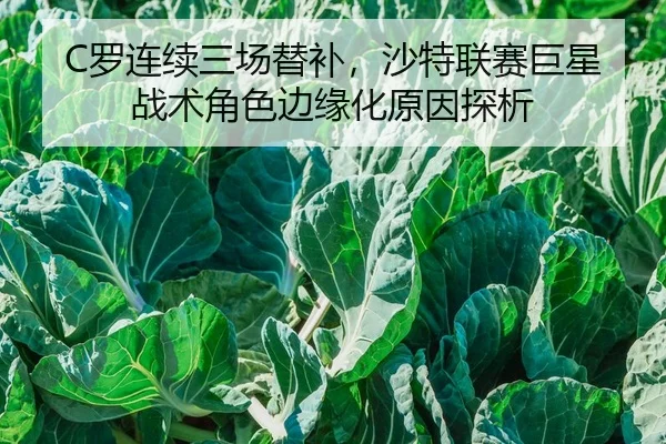 C罗连续三场替补，沙特联赛巨星战术角色边缘化原因探析
