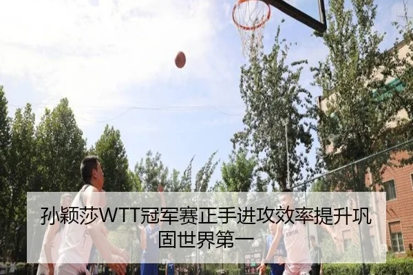 孙颖莎WTT冠军赛正手进攻效率提升巩固世界第一