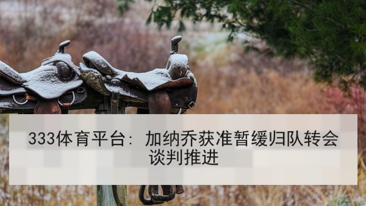 333体育平台: 加纳乔获准暂缓归队转会谈判推进