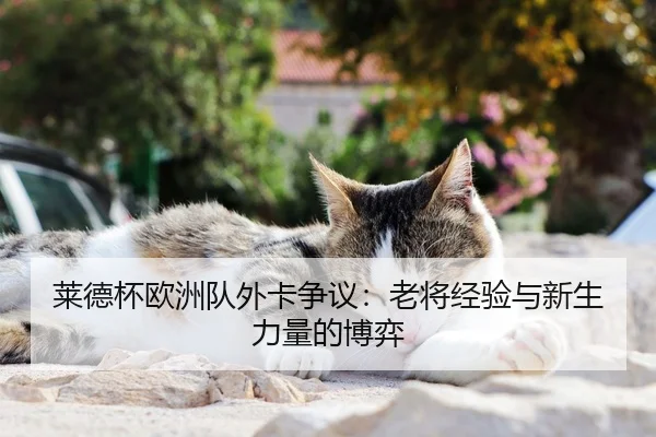 莱德杯欧洲队外卡争议：老将经验与新生力量的博弈