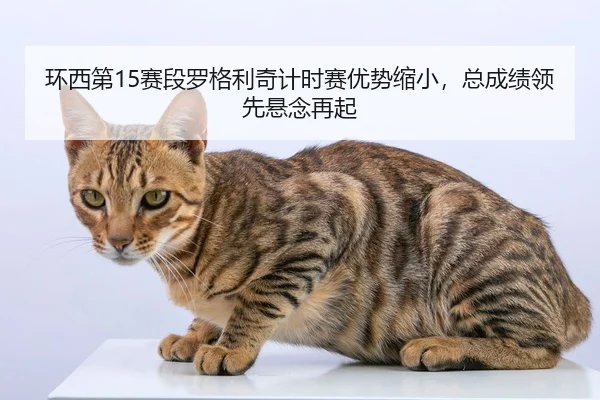 huan-xi-di-sai-duan-luo-ge-li-qi-ji-shi-sai-you-shi-suo-xiao-zong-cheng-ji-ling-xian-xuan-nian-zai-qi-2-167.jpg