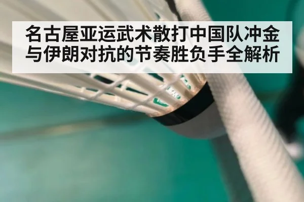 名古屋亚运武术散打中国队冲金与伊朗对抗的节奏胜负手全解析